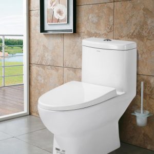 Bồn Cầu Cao Cấp AB1116M