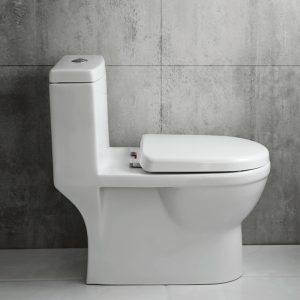 Bồn Cầu Cao Cấp AB1176M